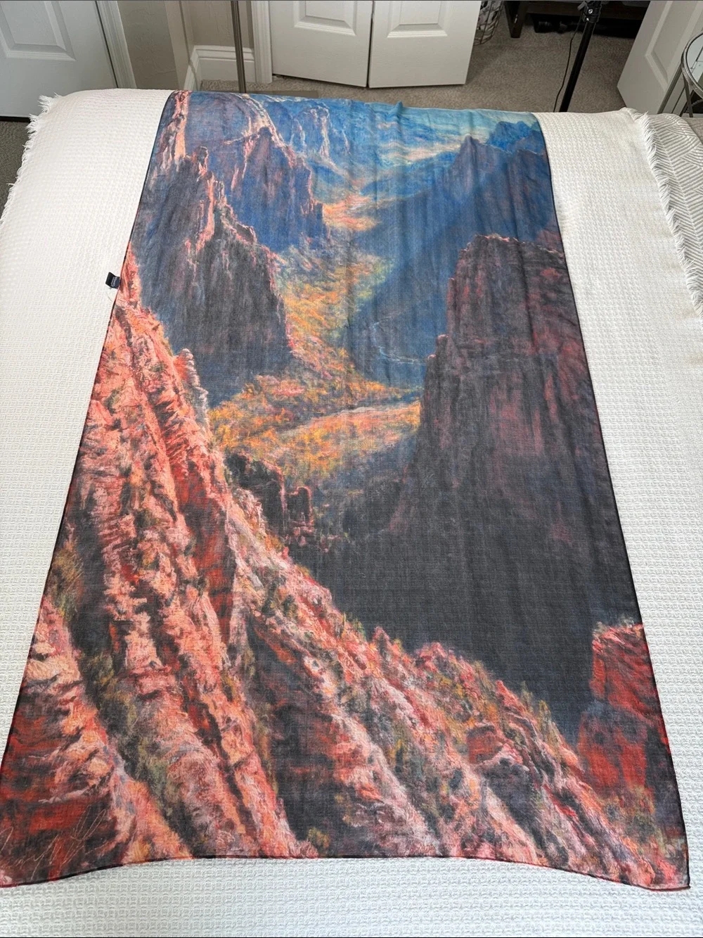 McGovern & Co The Park Scarf- National Park Grand Canyon scene Art to Wear